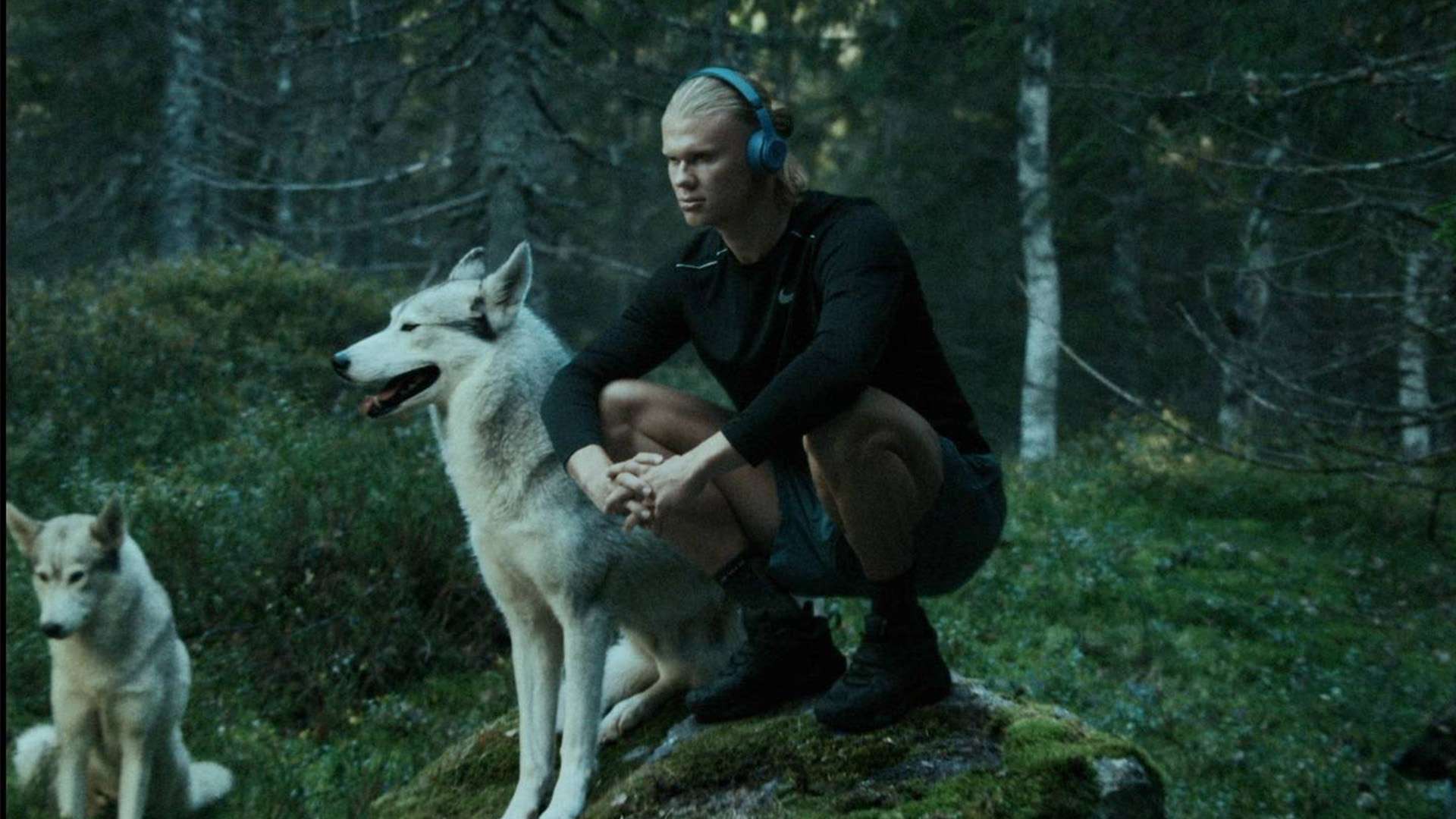 不僅僅是一 不僅僅是一